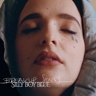 Breakup Songs by Silly Boy Blue - album cover