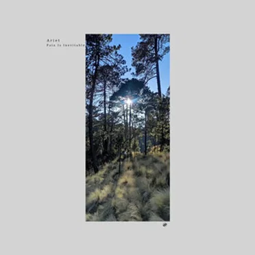 Pain Is Inevitable by Ariet - album cover