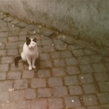 [untitled]