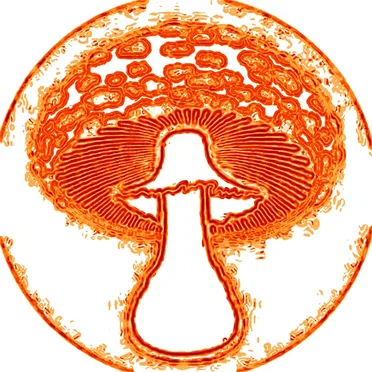 Scenes From the Mushroom Lab
