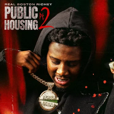 Public Housing, Pt. 2 by Real Boston Richey - album cover
