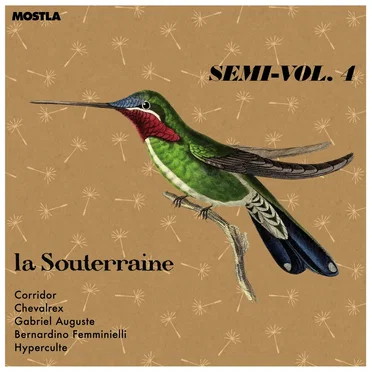 La Souterraine, Semi-Vol. 4 by Various Artists - album cover
