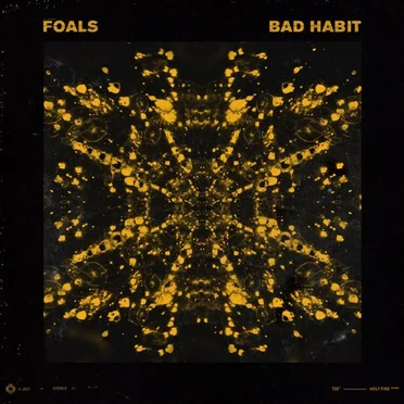 Bad Habit