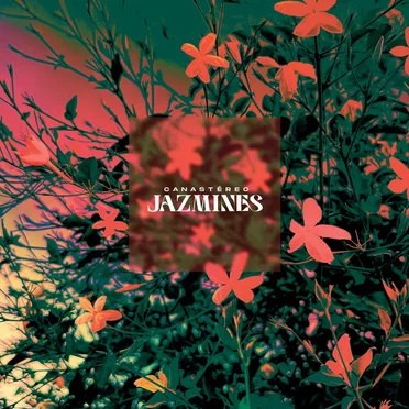 Jazmines by Canastéreo - album cover