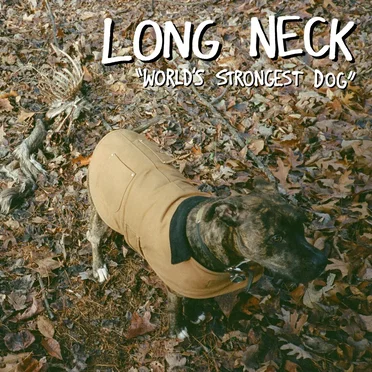 World's Strongest Dog by Long Neck - album cover