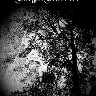 Demo II by SargarSturmer - album cover