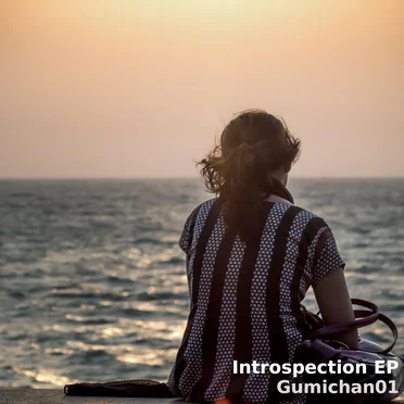 Introspection EP by Gumichan01 - album cover