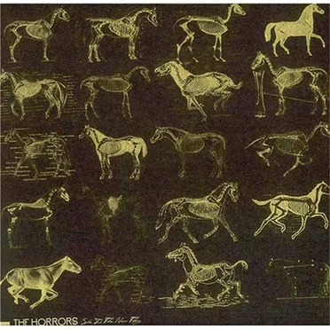 She Is the New Thing