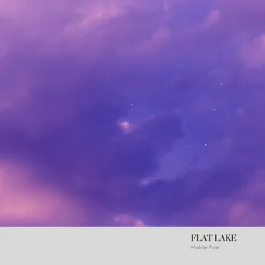 Modular Pulse