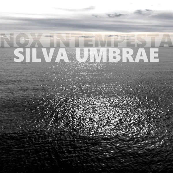 Silva umbrae