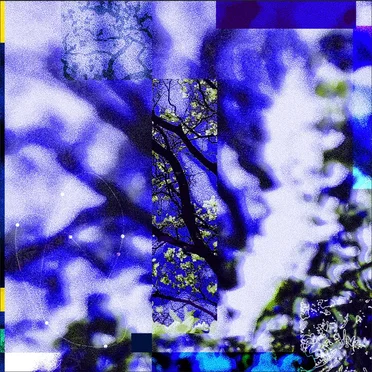 Barking at Trees by lu - album cover