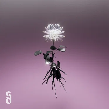 Bright Soul by Storm Orchestra - album cover