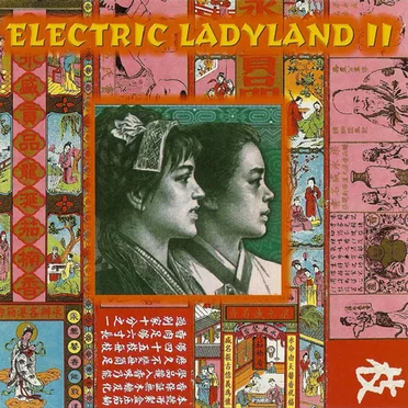 Electric Ladyland II by Various Artists - album cover