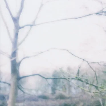 landscape 03