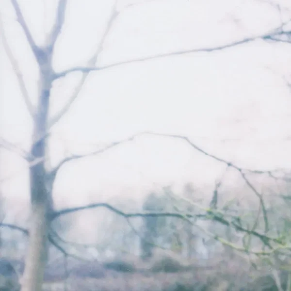 landscape 03