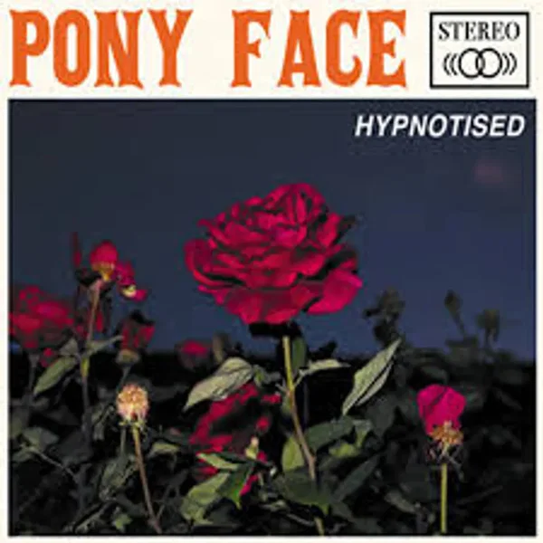 Hypnotised