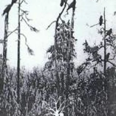 Les corbeaux de mes funérailles by Saatkrähe - album cover