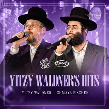 Yitzy Waldner's Hits
