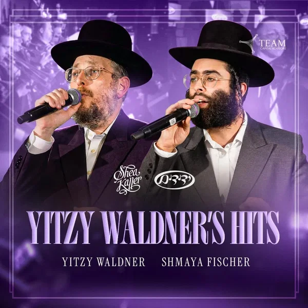 Yitzy Waldner's Hits