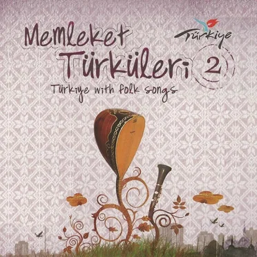 Memleket Türküleri 2 by Various Artists - album cover