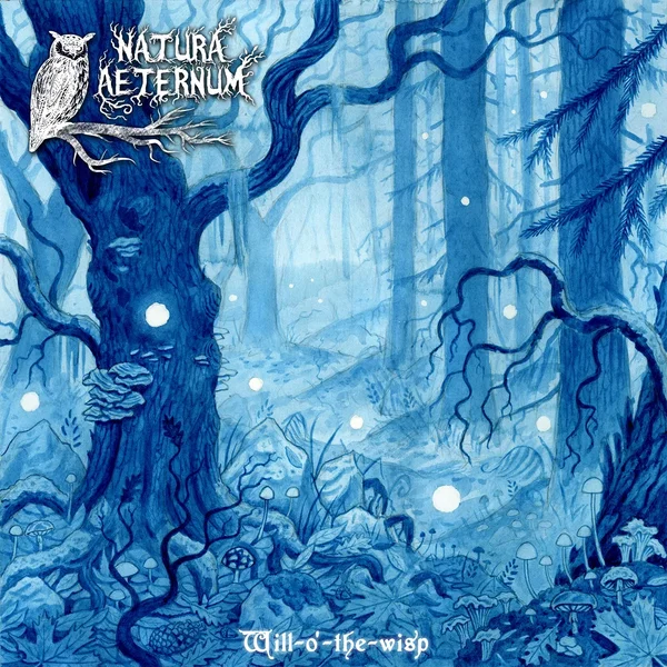 Will‐o’-the‐wisp