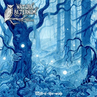 Will‐o’-the‐wisp