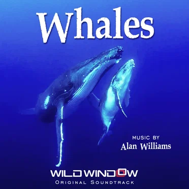 Whales by Alan Williams - album cover