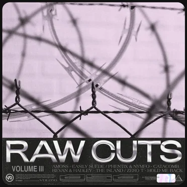 Raw Cuts, Volume III by Various Artists - album cover