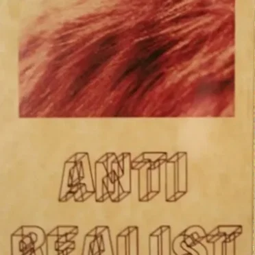 Anti Realist