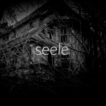 Seele by Orphxn - album cover