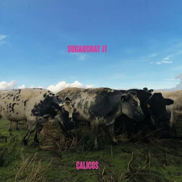 Sugarcoat It by Calicos - album cover