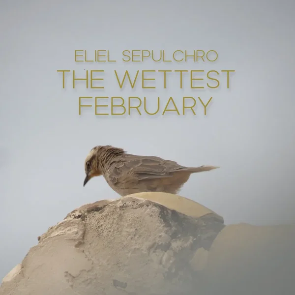 The Wettest February