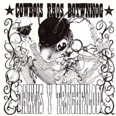 Dawns y Trychfilod by Cowbois Rhos Botwnnog - album cover