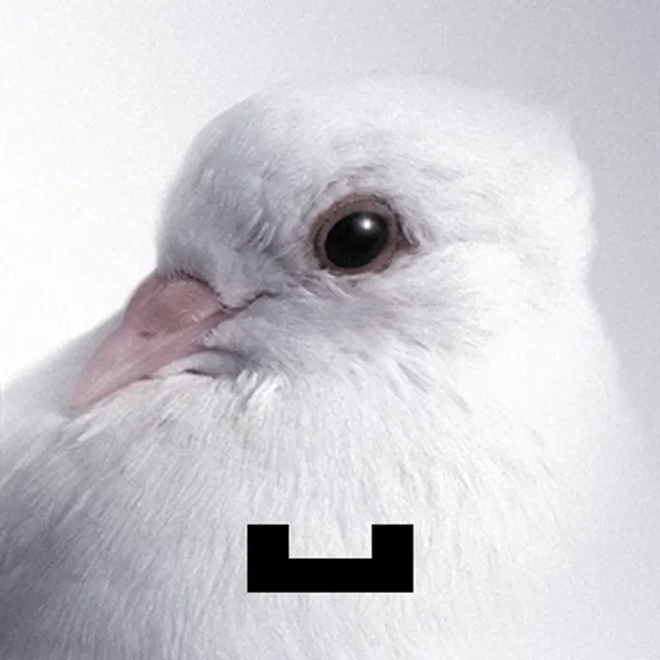 █▄▄█
