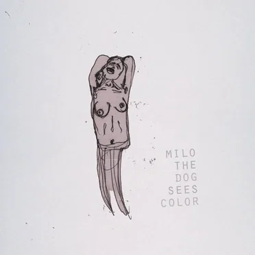 milo the dog sees color