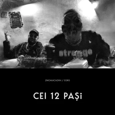 Cei 12 pași