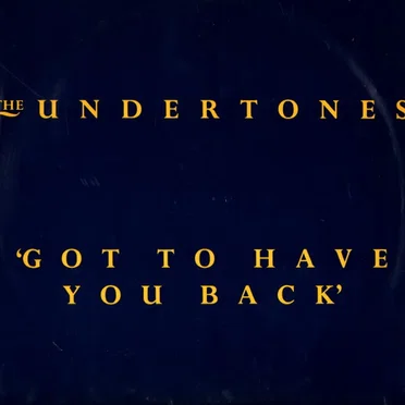 Got to Have You Back