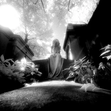 Transience