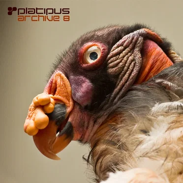Platipus Archive 8 by Various Artists - album cover