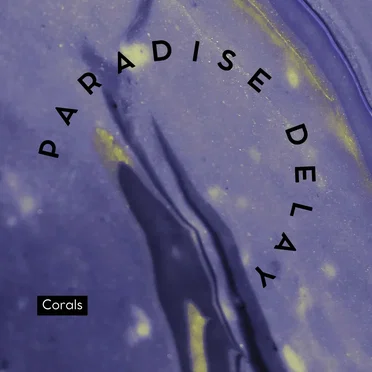 Paradise Delay
