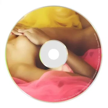 Eleonor Summer Hits Volume 5 by Various Artists - album cover