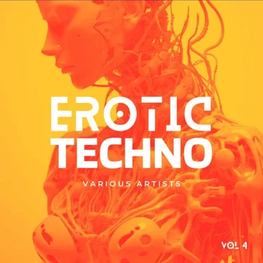 Erotic Techno, Vol 4 by Various Artists - album cover