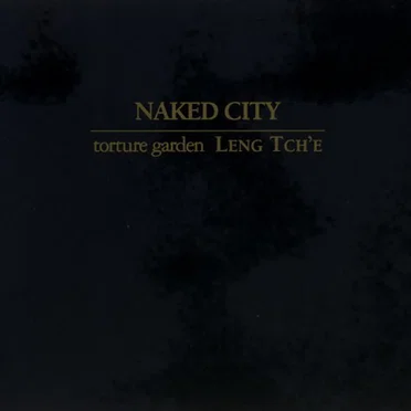 Black Box by Naked City - album cover