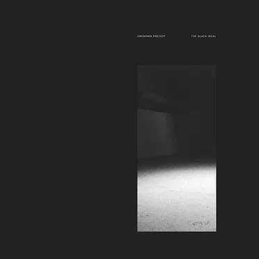 The Black Ideal by Various Artists - album cover