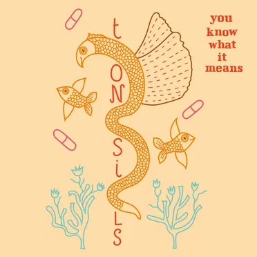 You Know What It Means by Tonsils - album cover