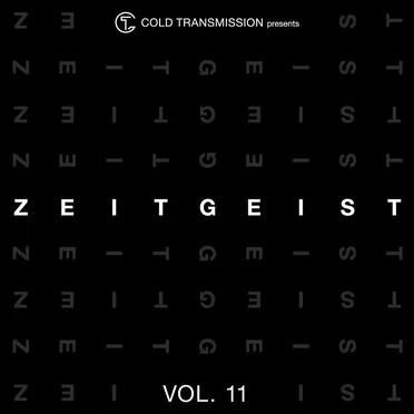 ZEITGEIST VOL. 11 by Various Artists - album cover
