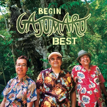 ガジュマルベスト