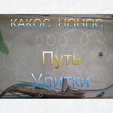 Путь улитки