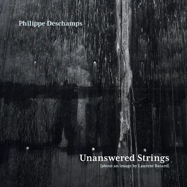 Unanswered Strings (about an image by Laurent Batard)