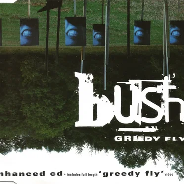 Greedy Fly